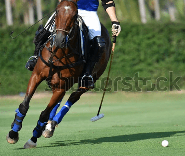 lefty horse