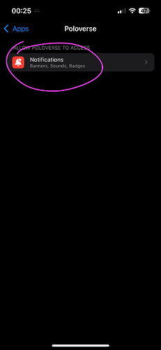 2025-07-13 00.25.07