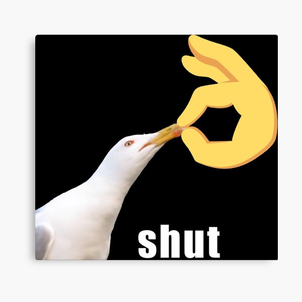 shut duck